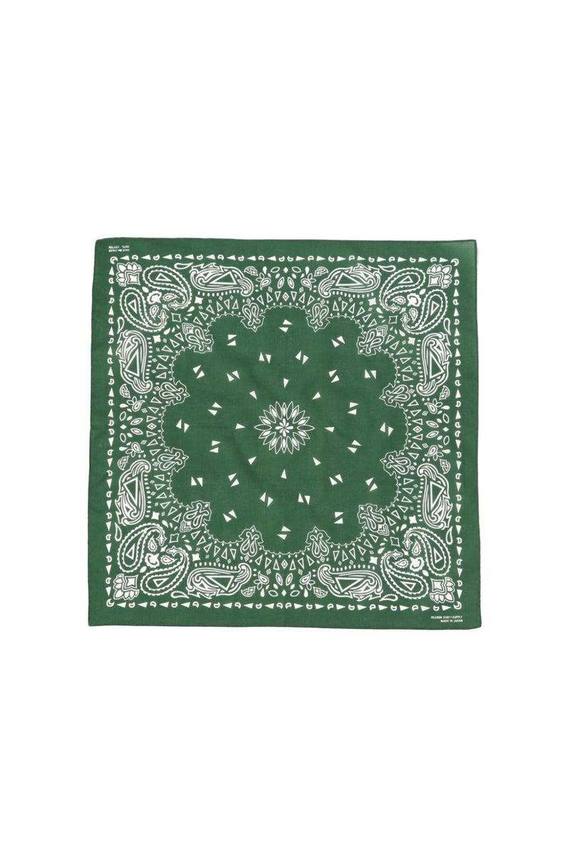 Pasley Bandana