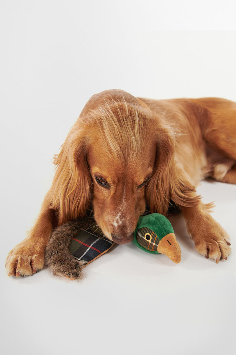 Giocattolo per cani a forma di fagiano