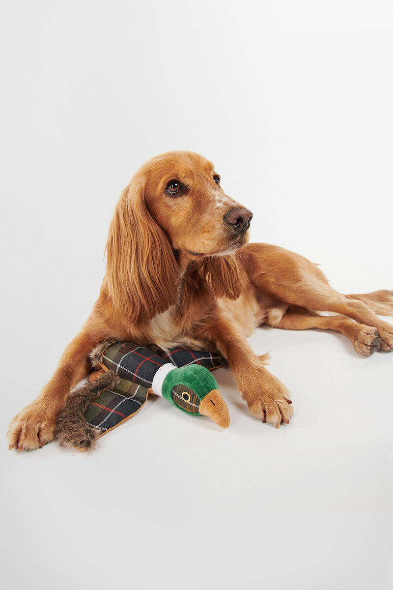 Giocattolo per cani a forma di fagiano