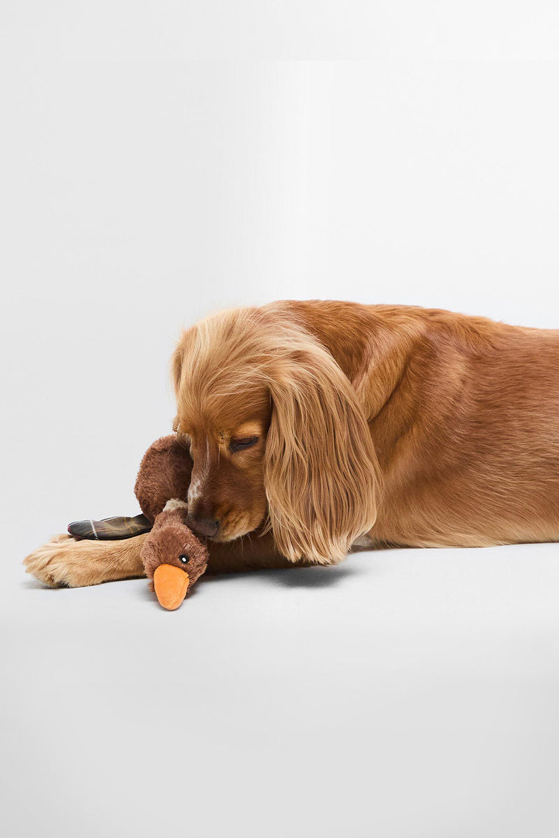 Barbour Fly Duck Dog Toy