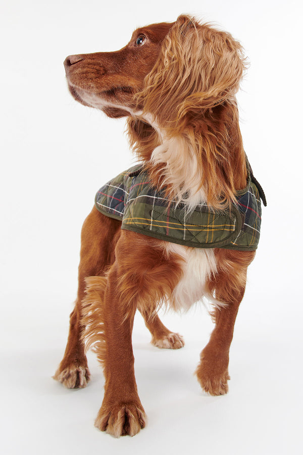 Tartan Dog Coat