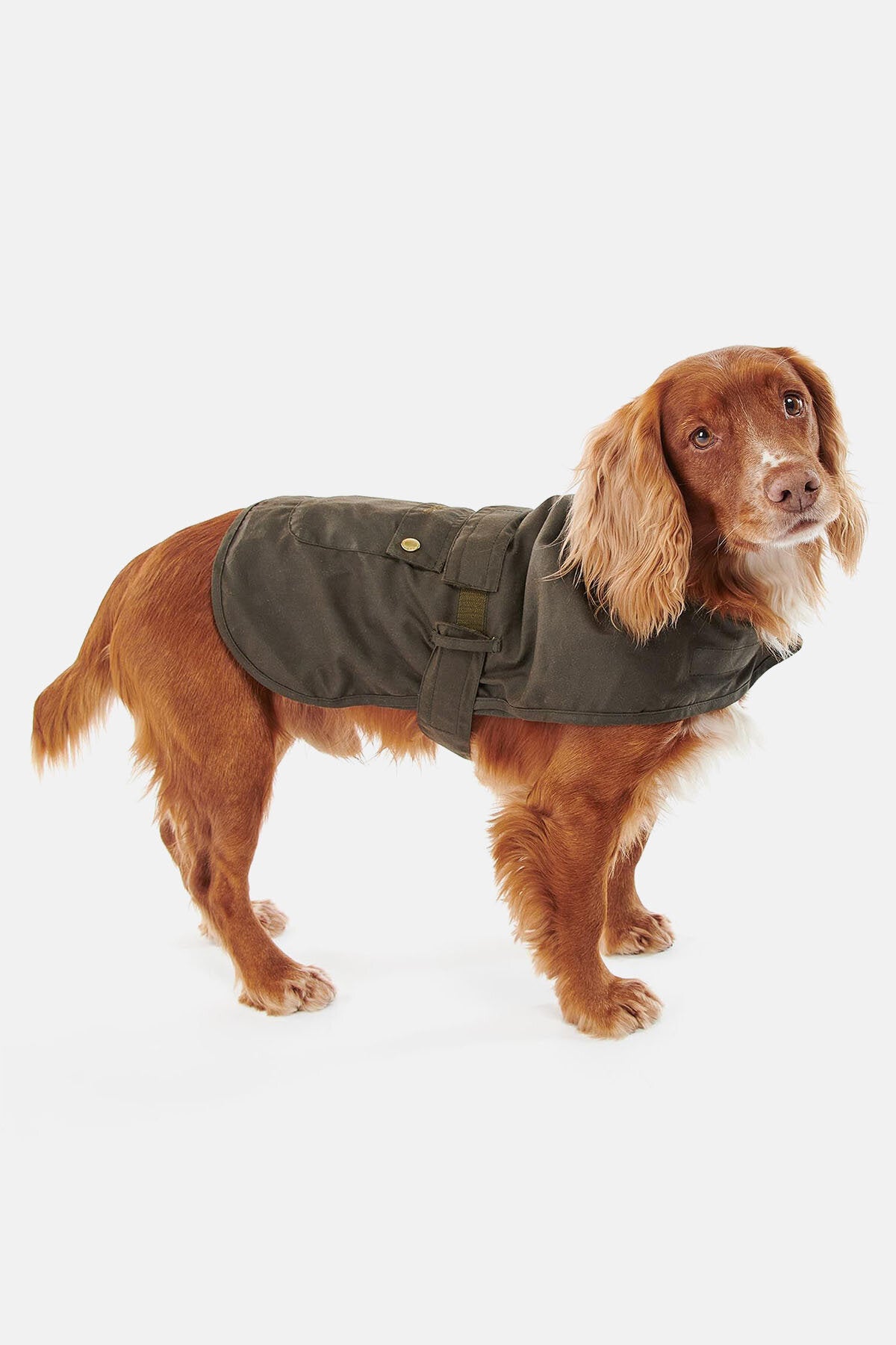 2 in 1 Wax Dog Coat Olive by Barbour Men WP Store